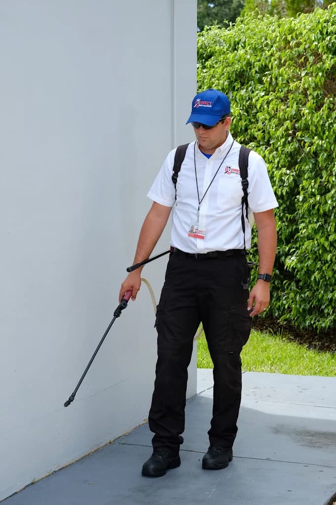 Commercial Pest Control - Professional pest control services in Miami