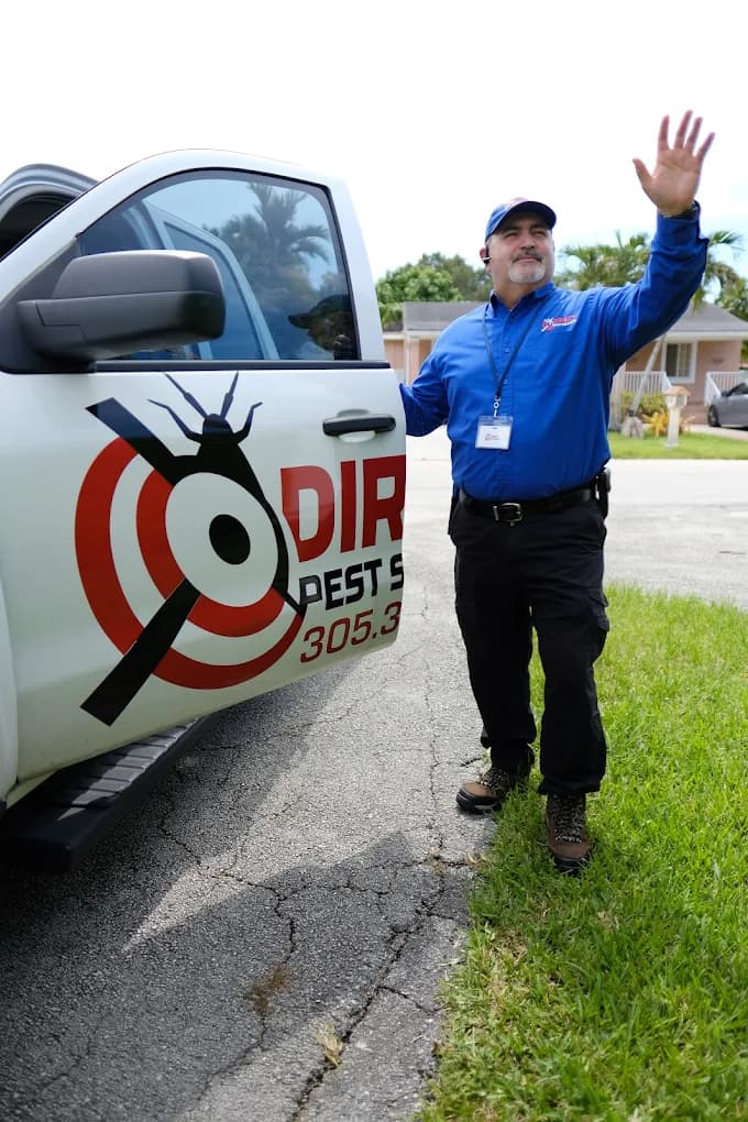 Pest prevention tips for Miami heat - Direct Pest Solutions