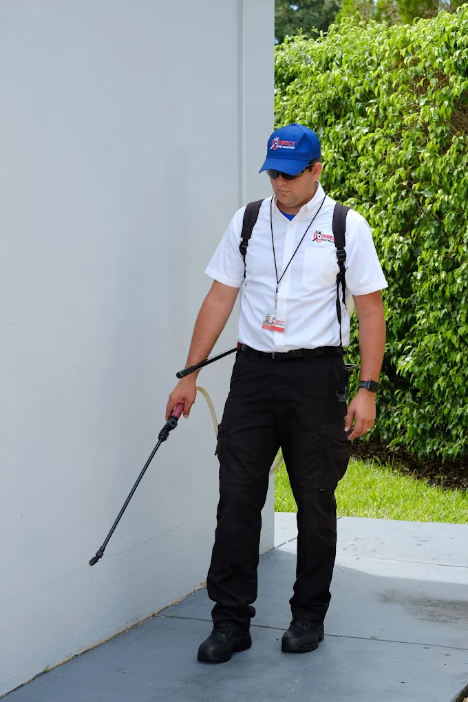 Commercial Pest Control - Professional pest control services in Miami