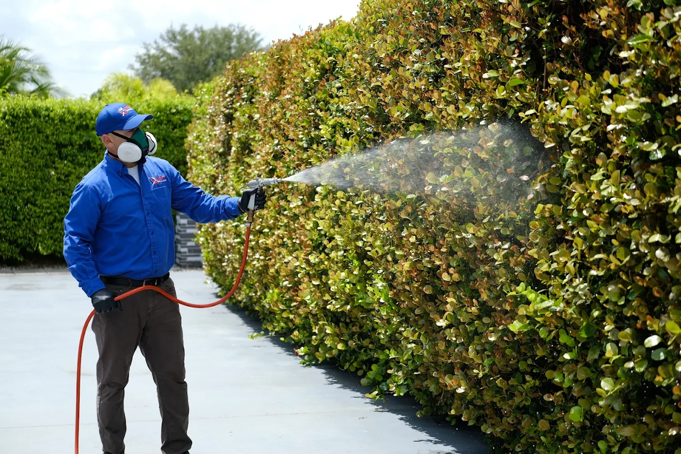 Comprehensive pest control services for Miami residential and commercial properties - Direct Pest Solutions offers termite control, mosquito treatment, rodent removal, and ongoing pest prevention programs 2